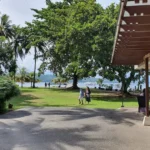 Pearl Farm Marina Wharf