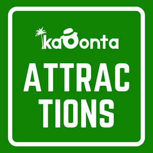 attractions (1)